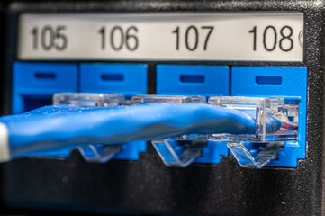 Macro shot of a blue Ethernet cable plugged into a labeled network patch panel. Ideal for illustrating data center, IT infrastructure, and telecommunications concepts.
