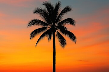 Obraz premium Serene tropical sunset silhouette