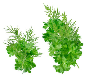 fresh parsley and rosemary isolated on transparent background.