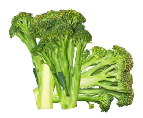 fresh green broccoli isolated on transparent background.