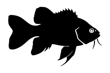 fish icon