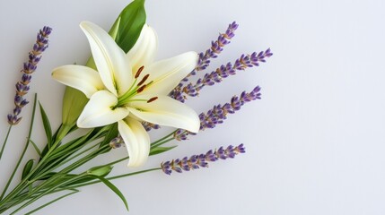 Light gray picture frame showcasing a graceful lily and fresh lavender stems