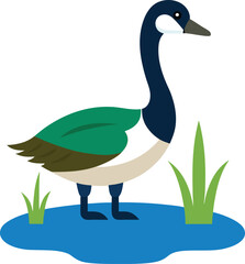 canada goose vector art illustration