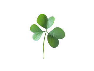 Single green shamrock leaf isolated on transparent background