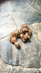 Fresh Ginger Root on Stone Tile Surface Culinary Ingredient Spice Close Up
