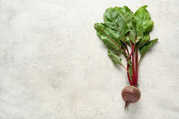 Fresh beetroot on light background