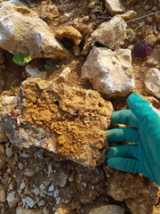 Rock hunting in nature, hand reaching out to an interesting specimen, rockhounding