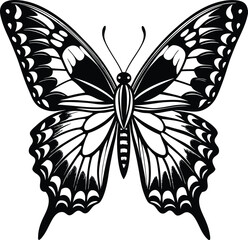 Realistic flying butterfly vector with transparent wings