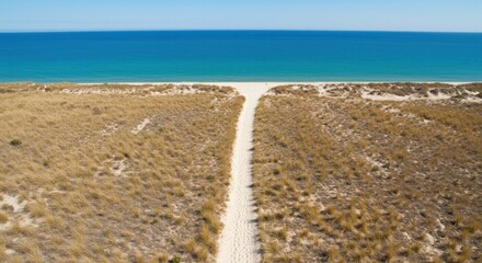 Aerial view of a sandy path cutting through tall, dry grass dunes towards a vibrant turquoise sea and clear, cloudless sky