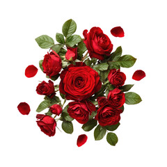 A cluster of vibrant red roses