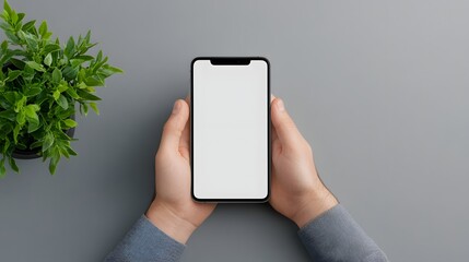 Person's hands holding a modern smartphone with a blank white screen Grey table background with a green potted plant