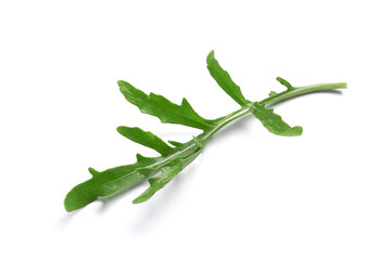 Green arugula leaf on white background