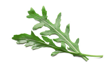Fresh arugula leaves on white background