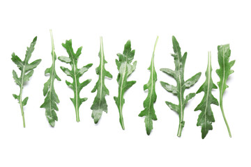 Green arugula leaves on white background