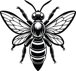 Realistic flying bee vector with transparent wings and body texture