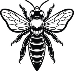 Transparent bee vector with detailed wings for tattoo