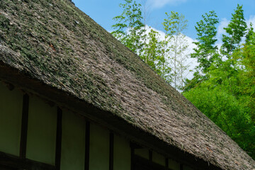 竹林と古民家