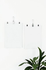Two blank white papers clipped to a wall with a green plant below