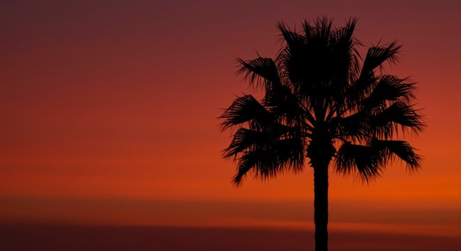 Silhouette of a palm tree against a vibrant, reddish-orange sunset over a calm ocean - Powered by Adobe