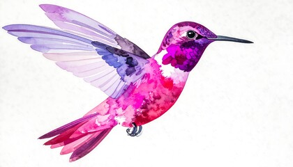 Watercolor Hummingbird in Flight with Pink, Purple, and and Graceful on White Background.