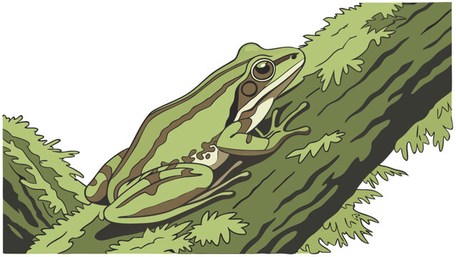 A tree frog camouflaged on mossy tree bark in a rainforest setting, AI generative illustration