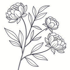 Minimal botanical line drawing of a peony flower in seamless pattern