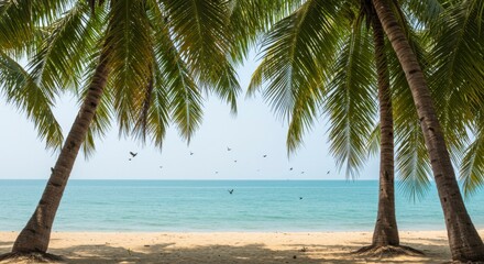 Tropical beach scene with palm trees (2)
