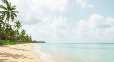 Idyllic tropical beach scene; clear turquoise water laps a sandy shore fringed by palm trees under a partly cloudy sky