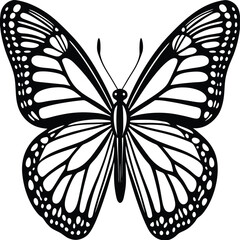 Intricate Monarch Butterfly Black and White Line Art Vector Drawing