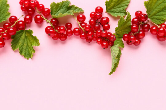 Fresh red currants with leaves on pink background