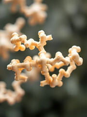 Alpha-galactosidase (3d structure), administered as enzyme repla