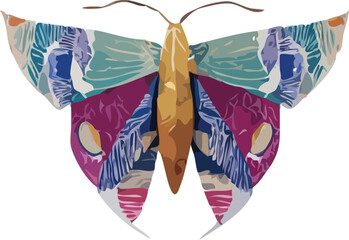 butterfly vector art