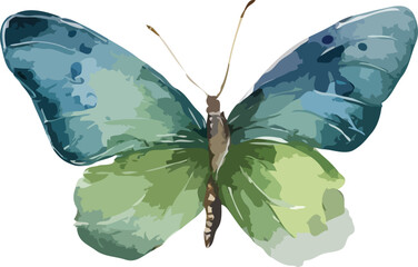 butterfly vector art