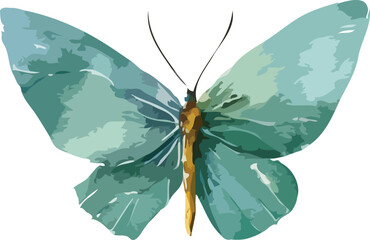 butterfly vector art
