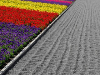 Border of a colorful flower field and monochrome gray gravel field, geometric nature divide, minimalistic symmetry