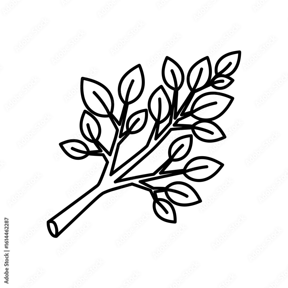 Poster outlined branch with leaves illustration showing botanical element in a minimalist style drawing des