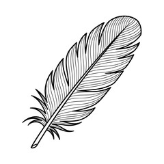 Illustration of a detailed feather with intricate line work and a quill at the bottom portion shown