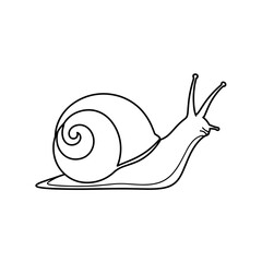 Outlined illustration of a snail with a spiral shell and antennae facing towards the right side view