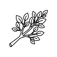 Outlined branch with leaves illustration showing botanical element in a minimalist style drawing design