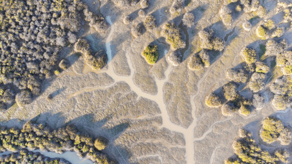Drone photography of the river and streams inbetween lake Machattie and lake Koolivoo, Channel country, near Glengyle Station, Bedourie.