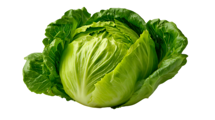 Fresh green iceberg lettuce isolated on transparent background