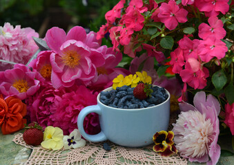 Vintage garden still life with beautiful potted flowers of balsam and peony with cup of honeysuckle berry on the table. Spring and summer botanical and farming background with gardening objects