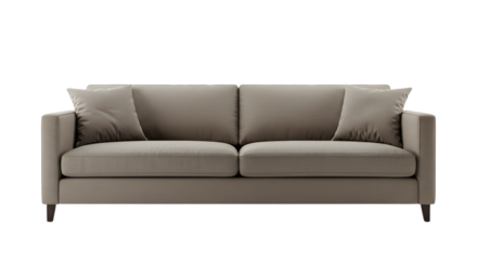 Modern Gray Sofa with Cushions for Living Room Decor