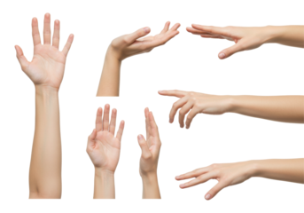 Collection of various hand gestures demonstrating communication and expression