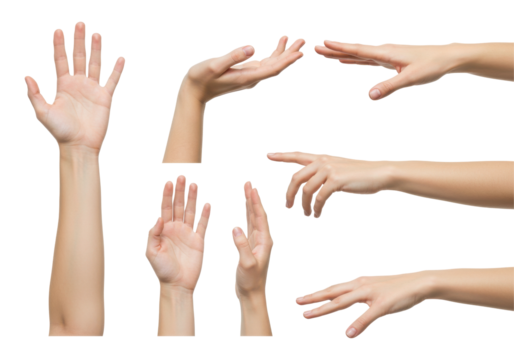 Collection of various hand gestures demonstrating communication and expression