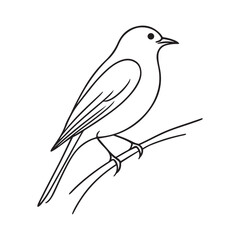Minimalist Line Art Bird on Branch – Black and White Drawing