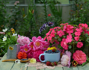 Vintage garden still life with cup of honeysuckle berry and potted flowers on the table in the greenhouse. Spring and summer botanical and farming background with gardening objects