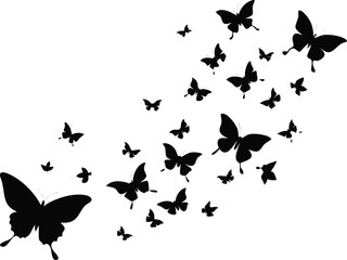Obraz premium Black Silhouette of Butterflies Flying Upward on a White Background