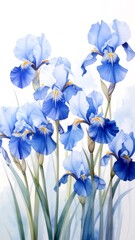 Delicate Blue Irises  