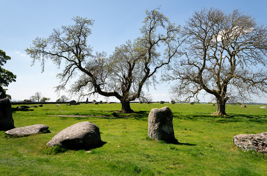 Long Meg and Her Daughters prehistoric Neolithic megalithic stone circle in Eden Valley near Penrith, Cumbria, England. View to W from S.E. arc